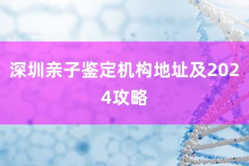 深圳亲子鉴定机构地址及2024攻略